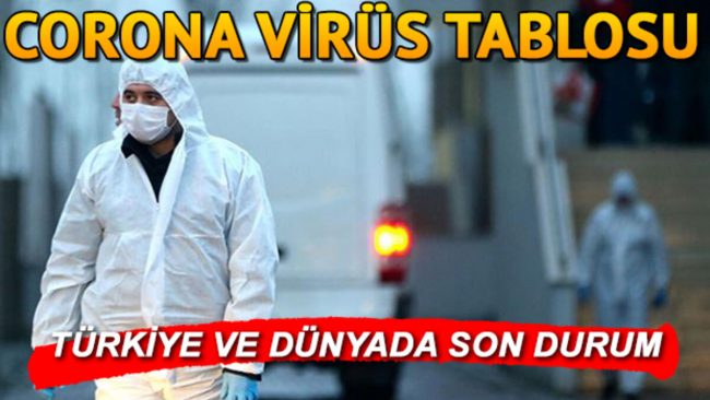Türkiye ve Dünyada Koronavirüs (Covid-19) Salgınında Son 5 ayın değerlendirilmesi (11 Mart – 31 Temmuz 2020)