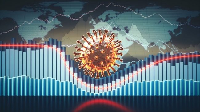 Dünyada ve Türkiye’de Koronavirüs Salgını, 2020 Yılının Değerlendirilmesi