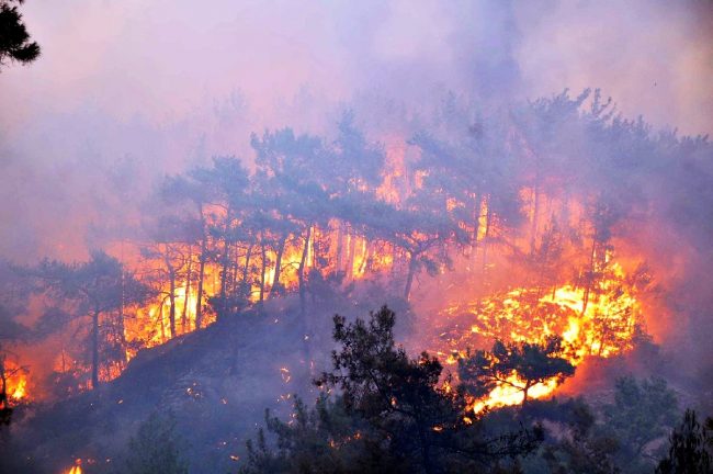 Dünya Türkiye’deki orman yangınlarını korkuyla izliyor…