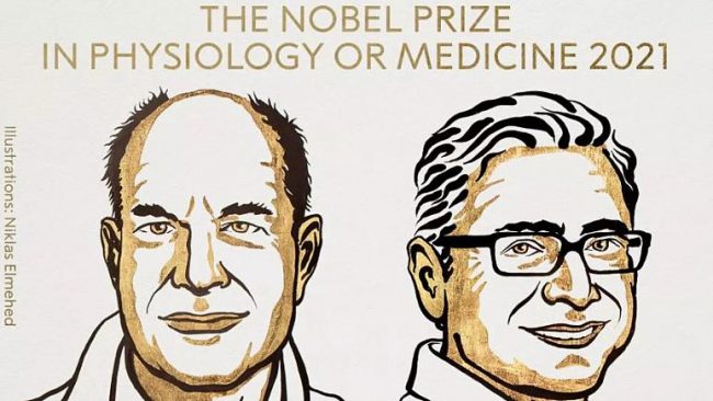 Nobel Tıp Ödülü’nü ABD’li bilim insanları David Julius ile Ardem Patapoutian kazandı.