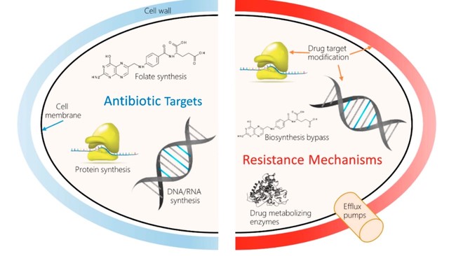DSÖ, antimikrobiyal dirençle ilgili 40 araştırma önceliğini sıralıyor